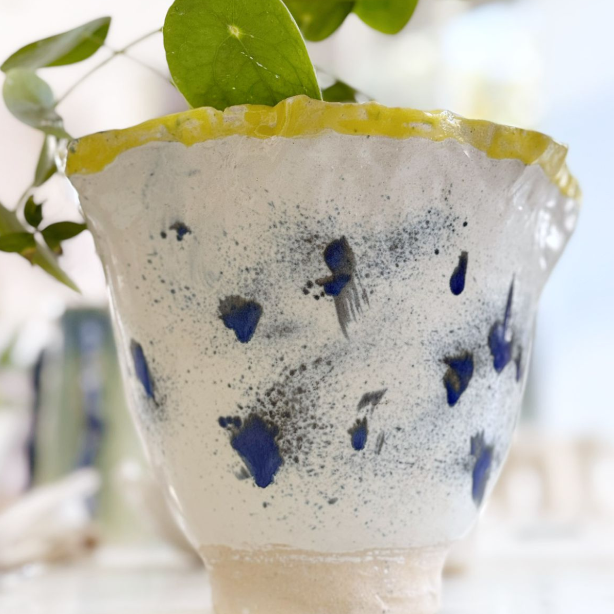 Macetero Pintas blue